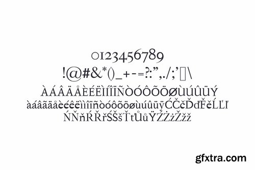 CM - Hagito Serif Font Family Pack 1791796