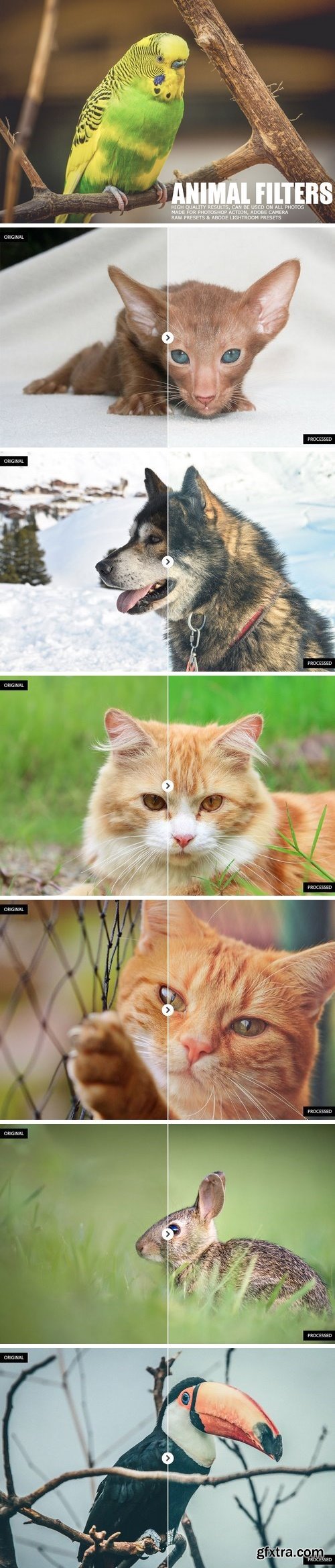 CM - 17 Animal Lightroom Presets 1167174