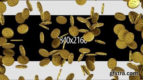 MA - Gold Dollar Transition Stock Motion Graphics 154938