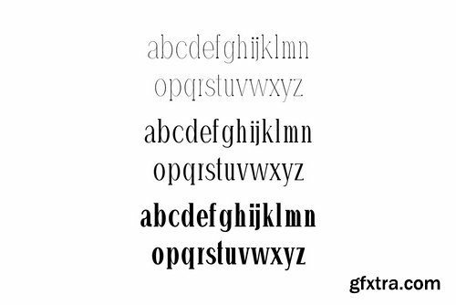 CM - Hommer Minimal Serif Font Family 1482635