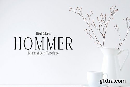 CM - Hommer Minimal Serif Font Family 1482635