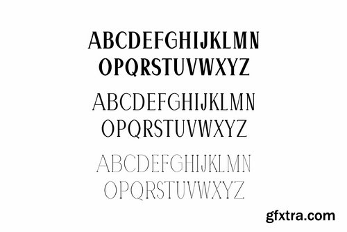 CM - Hommer Minimal Serif Font Family 1482635