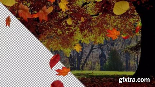 Falling Autumn Leaves Pack - Motion Graphics 138439