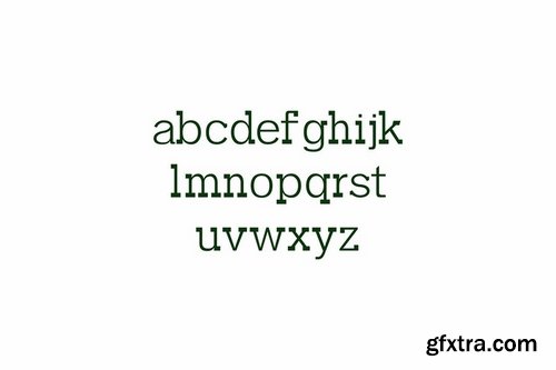 CM - Garvin Slab Serif Font Family 1688922