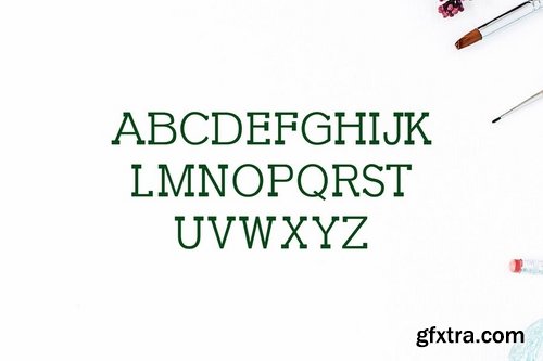 CM - Garvin Slab Serif Font Family 1688922