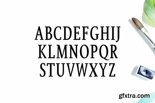 Orrick Slab Serif Font Family