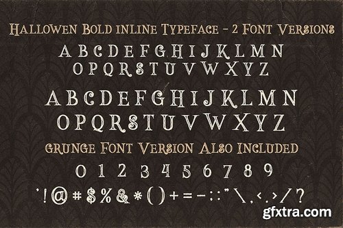 5 Fonts Bundle 4