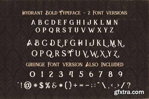 5 Fonts Bundle 4