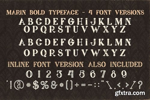 5 Fonts Bundle 4