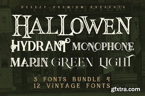 5 Fonts Bundle 4