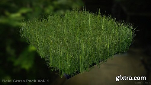 Field Grass Package Vol. 1