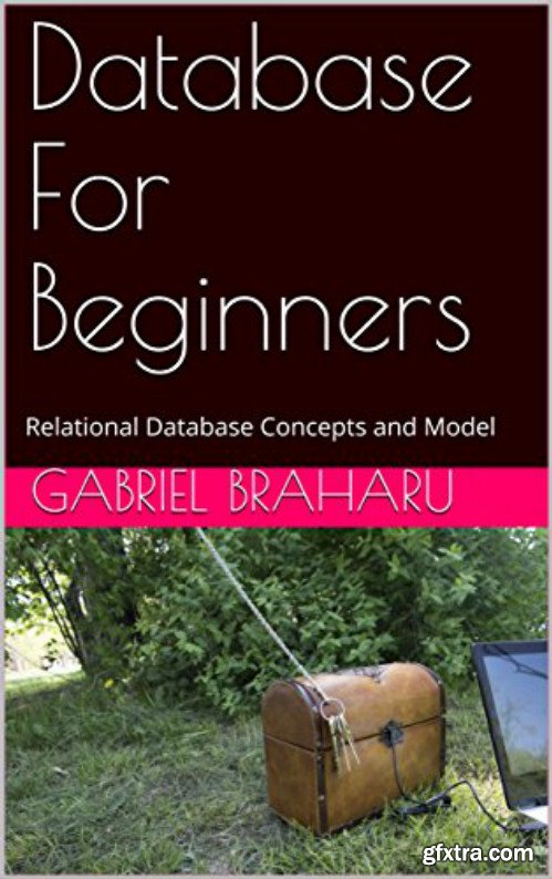 Database For Beginners: Relational Database Concepts and Model (Programming courses Book 3)