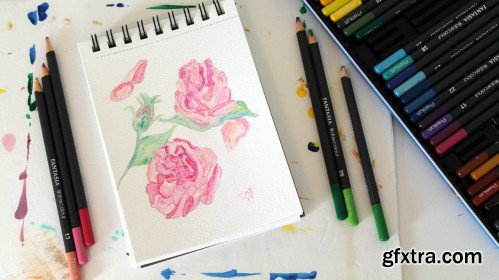 How to Use Watercolor Pencils for Beginners