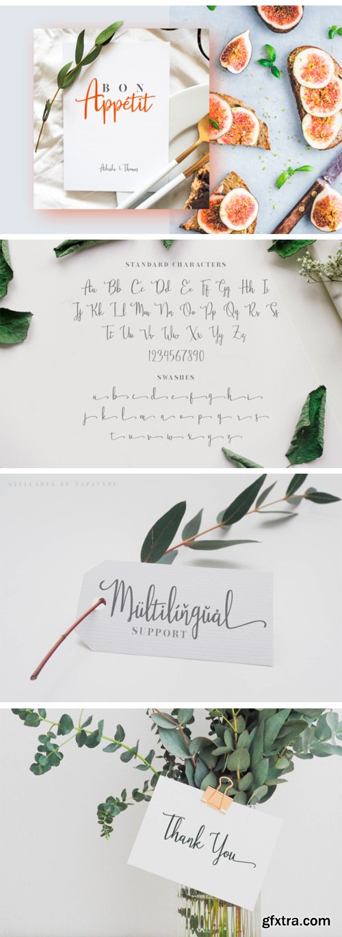 Stellaria Font