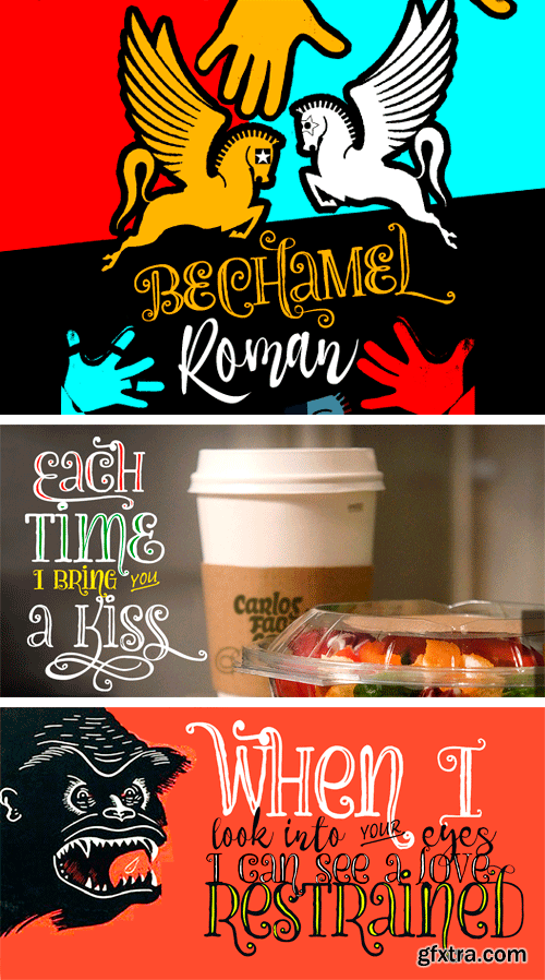 Bechamel Roman Font Family