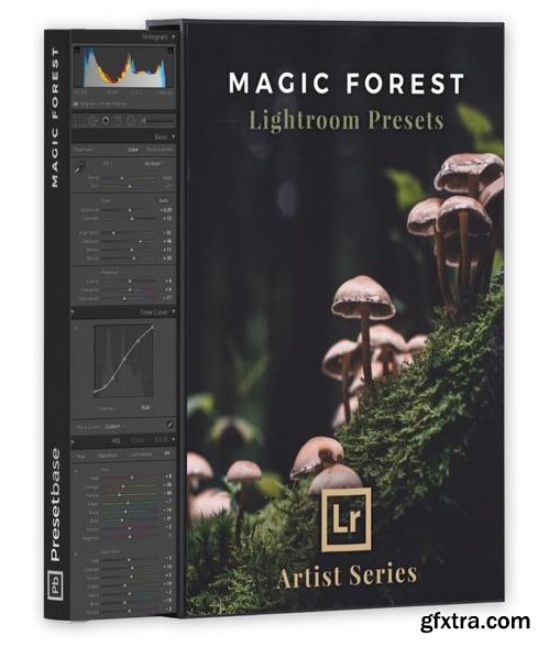 Magic Forest – Lightroom Presets (Artist Series)