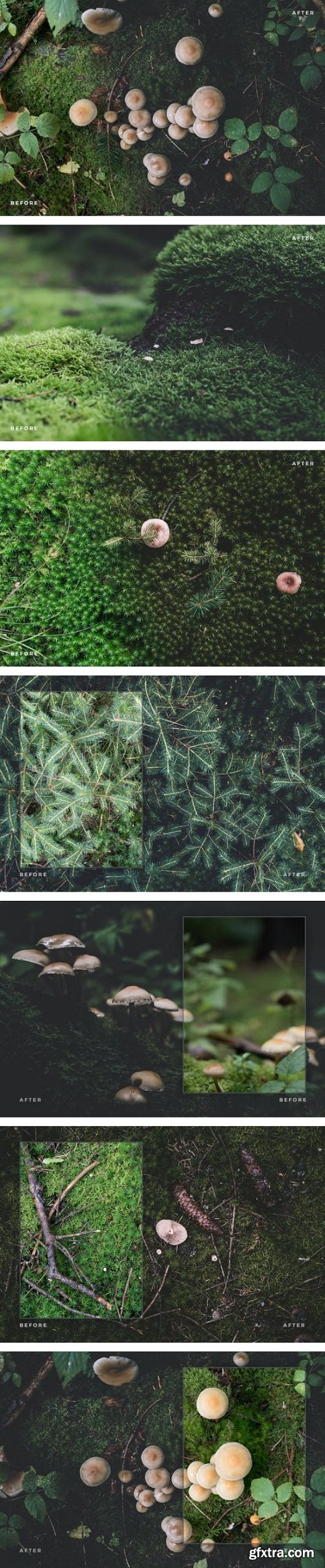 Magic Forest – Lightroom Presets (Artist Series)