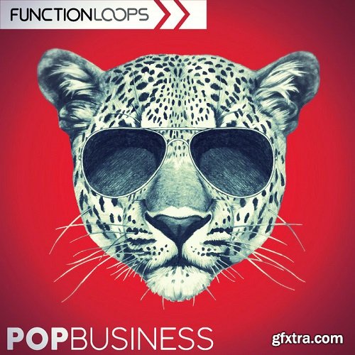 Function Loops Pop Business WAV MiDi VSTi PRESETS-DISCOVER