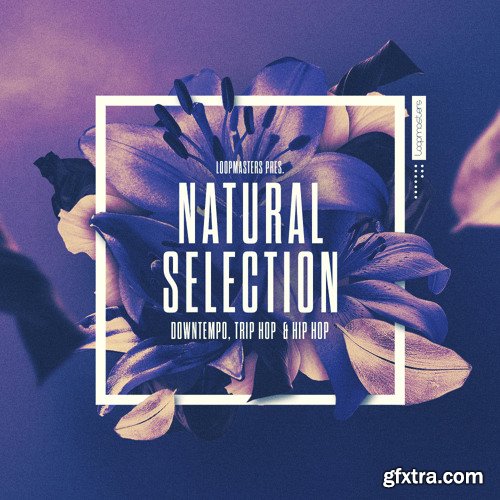 Loopmasters Natural Selection MULTiFORMAT