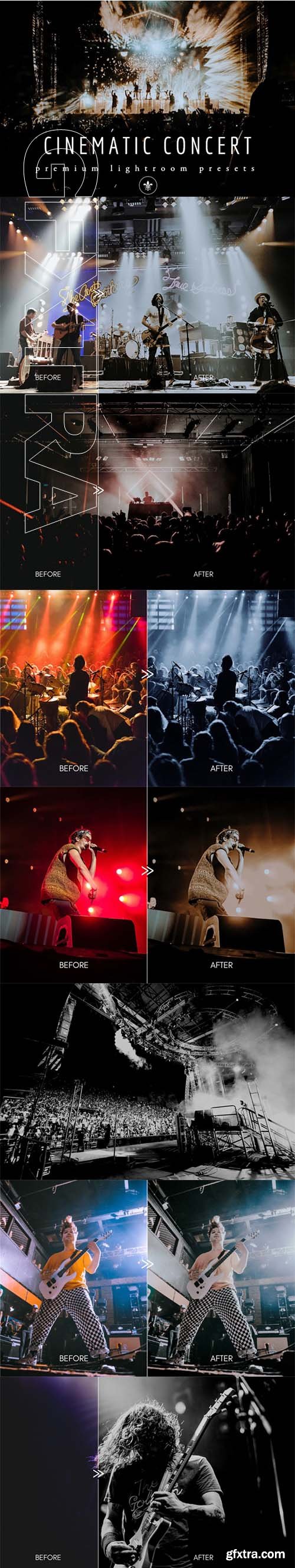 Cinematic & Moody Concert Lightroom Presets