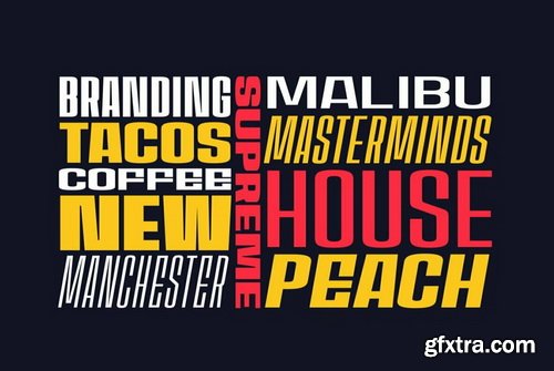 House Sans Font Family