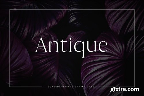 CM - Antique - Luxury Serif Typeface 3341401