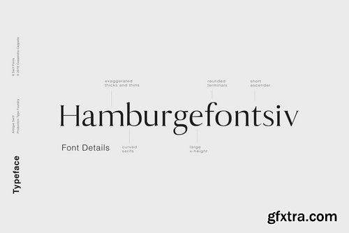 CM - Antique - Luxury Serif Typeface 3341401