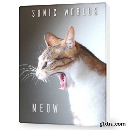 Sonic Worlds Meow Incl Cat Sound Pack WAV