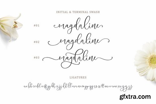 CM - Magdaline - Lovely Script 2753169