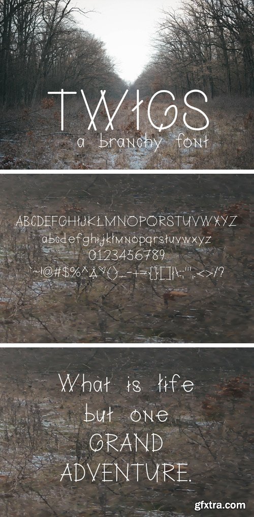 Fontbundles - Twigs A Branchy Font 81855