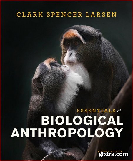 Essentials of Biological Anthropology (4th edition)