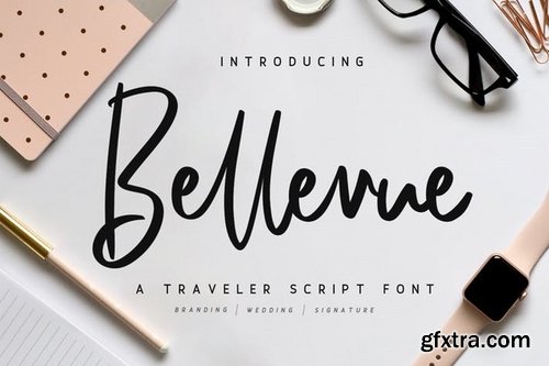 CM - Bellevue  A Traveler Script Font 3341596