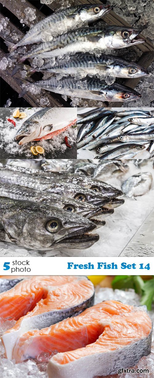 Photos - Fresh Fish Set 14