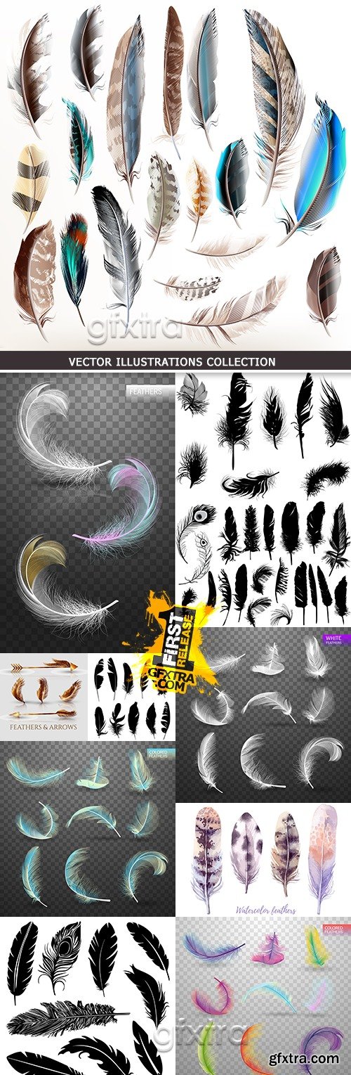 Big collection decorative feather elegance design