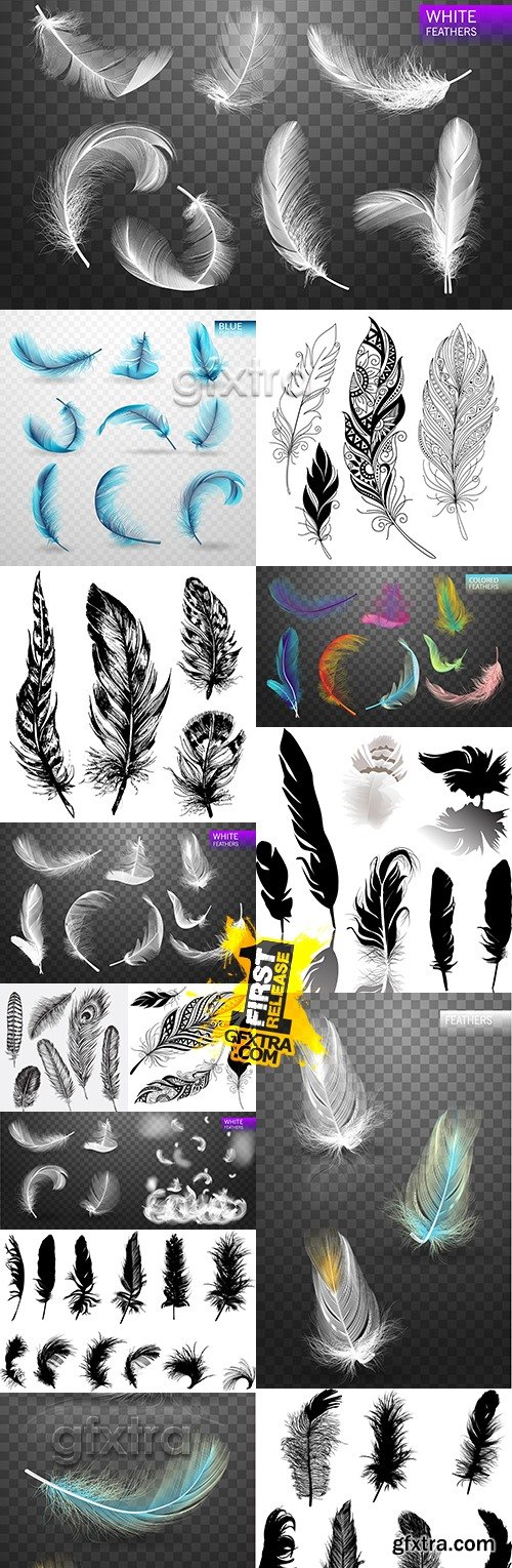 Big collection decorative feather elegance design