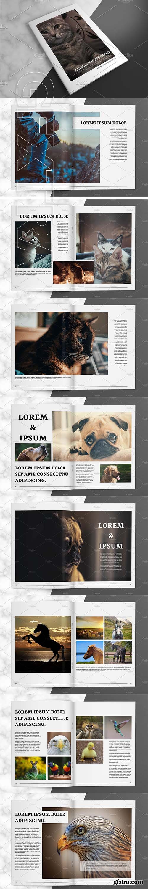 CreativeMarket - Animal Photography Brochure V827 3025271