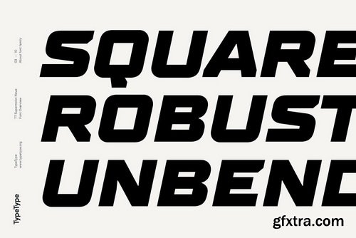 TT Supermolot Neue Font Family