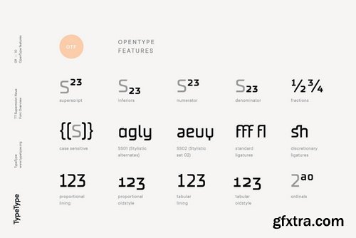 TT Supermolot Neue Font Family