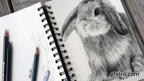 DRAWING FUR – how to draw the fluffy fur of an animal