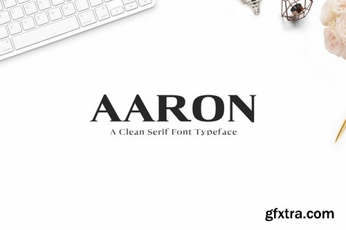 CM - Aaron Serif Font Family 1352286