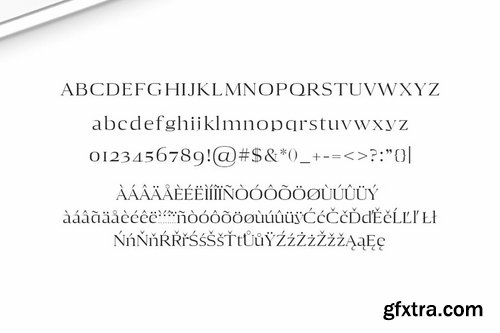 CM - Aaron Serif Font Family 1352286