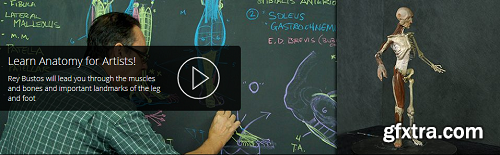 Rey’s Anatomy: The Lower Leg and Foot with Rey Bustos