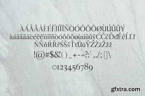 CM - Aludra Serif 12 Font Family Pack 1399783