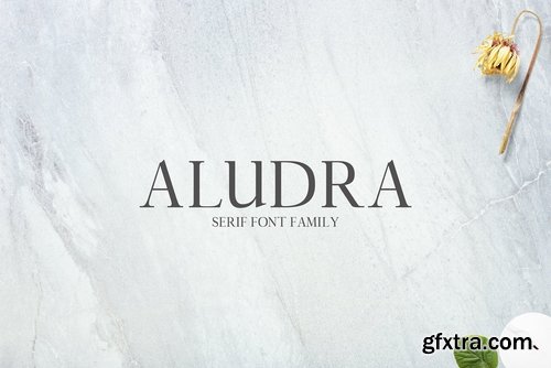 CM - Aludra Serif 12 Font Family Pack 1399783