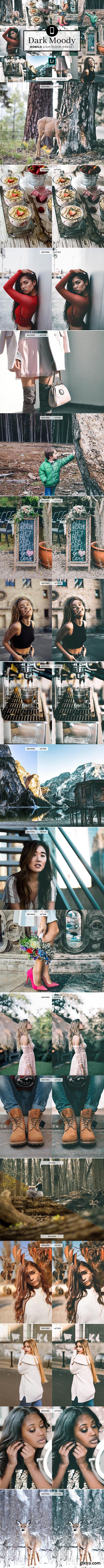 CreativeMarket - Mobile Lightroom Preset Dark Moody 3320008