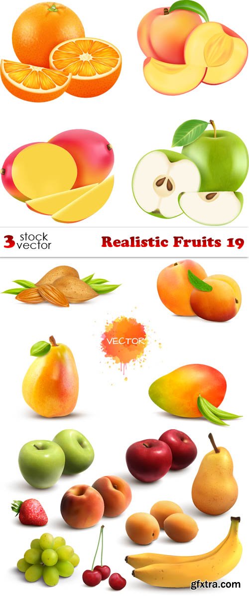 Vectors - Realistic Fruits 19