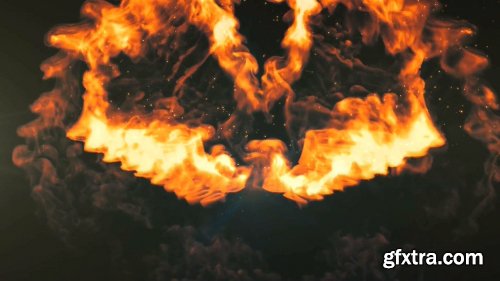 Videohive Wings Logo Reveal 19229048