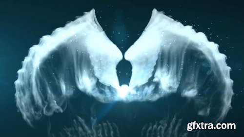 Videohive Wings Logo Reveal 19229048