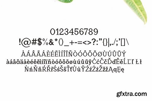 CM - Haytham Slab Serif Fonts Packs 1506665