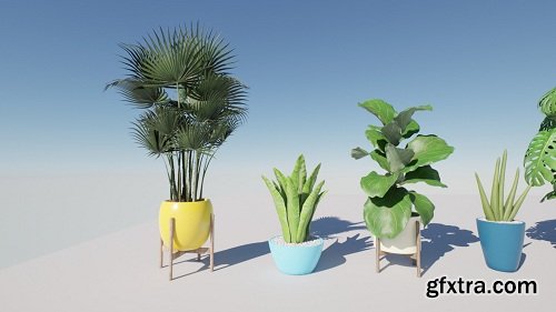 Archviz Plants